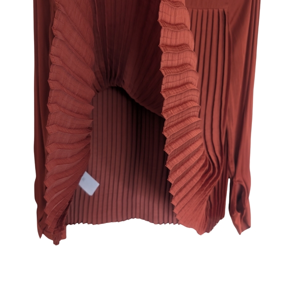Banana Republic Terracotta Pleated Blouse - Picture 4 of 4